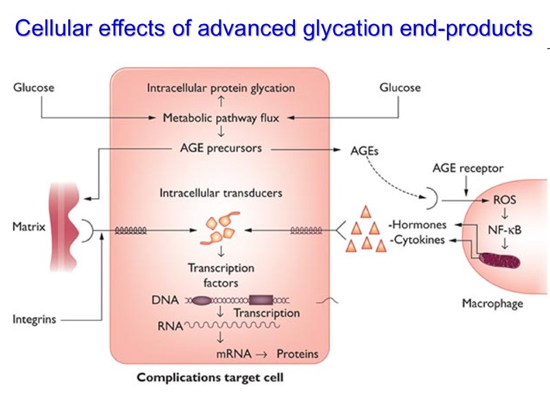 Cellular effects of advanced glycation end-products